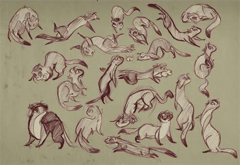 Slinky Stoat Weasel By Stressedjenny On Deviantart With Images