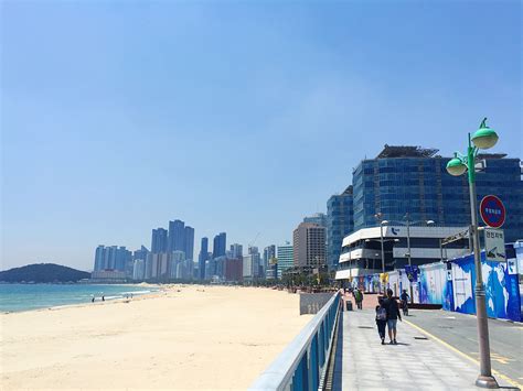 Haeundae Beach In Busan Korea พื้นหลัง
