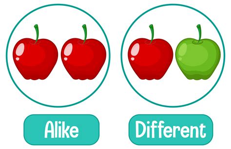 Fruit Text Vector Art Icons And Graphics For Free Download