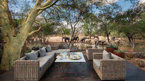 luxury safari in the kruger national park packages and itineraries discover africa safaris