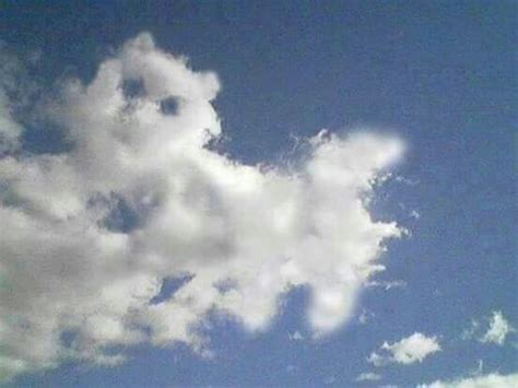 Clouds Cumulus Clouds Forming The Shape Of A Cat Nuage Paysage