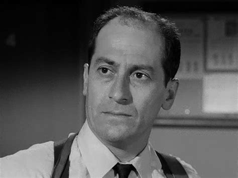 David Sheiner In A 1966 Episode Of The Fugitive Shadow Of The Swan