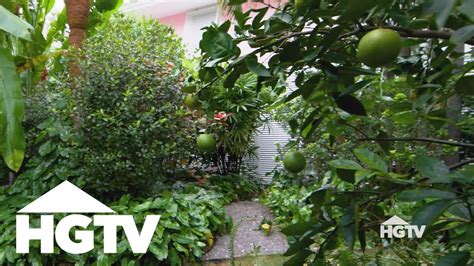 Design Tips All About Fruit Trees Hgtv Weekend Handy Woman Diy
