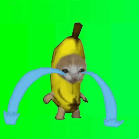 Banana Cry Cat Gif Banana Cry Cat Descubre Y Comparte Gif