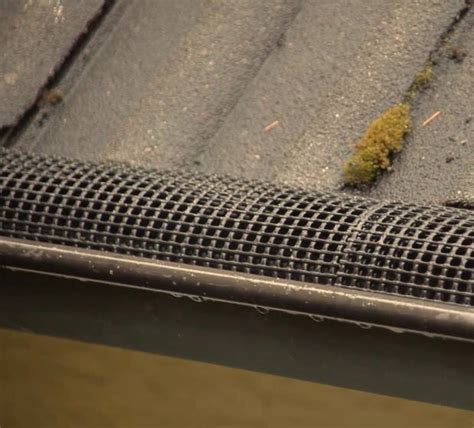 Auf ganz einfache art und weise: POLY-NET LAUBSTOP - Home | Facebook