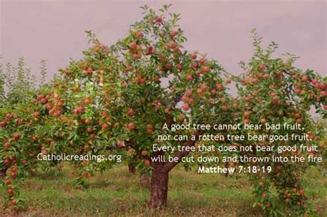 Whereas, the result of eating from the tree of life was to live forever. A Good Tree Cannot Bear Bad Fruit - Matthew 7:18-19