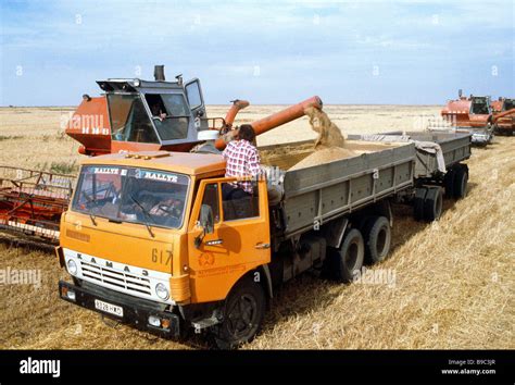 Grain Harvesting In Kazakhstan Stock Photo Alamy