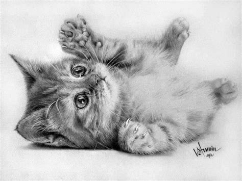 A dog will not howl if you beat him with a bone. Sketch | Baby animal drawings, Animal drawings, Cat sketch