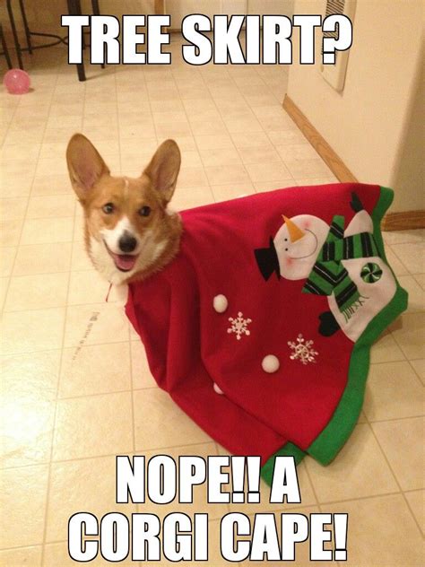 Super Christmas Corgi Corgi Corgi Funny Corgi Memes