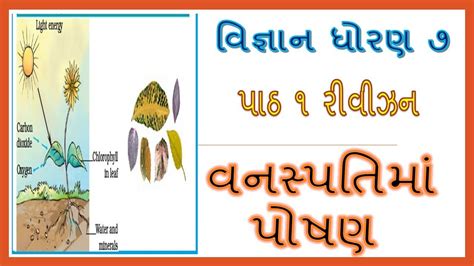 Science Class 7 Chapter 1 Revision Explanation In Gujarati