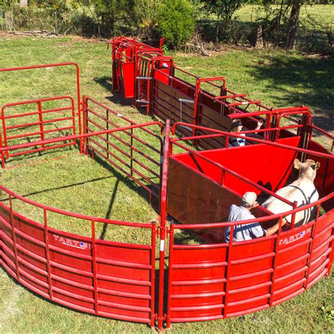 With the information provided in this complete guide to farm and ranch fencing, you can get started constructing a fence that keeps your livestock safe and sound. Cattle Handling — Tarter Farm and Ranch Equipment | American Made Quality Since 1945