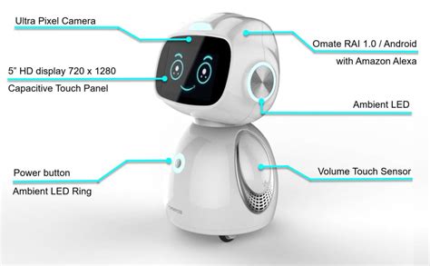 Omate Yumi Le Robot Sous Android Compatible Avec Alexa Fait Son Entrée