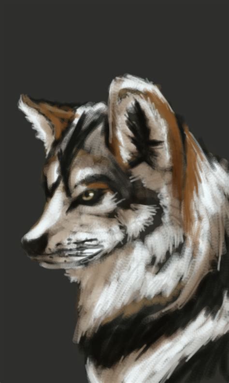 Mexican Gray Wolf By Chickhawk96 On Deviantart