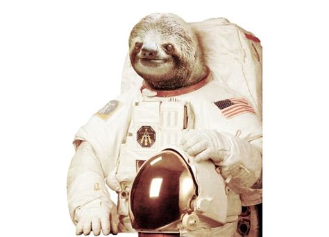 Astronaut Sloth Picture