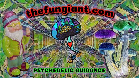 Meditation For Entering A Psychedelic Experience Youtube