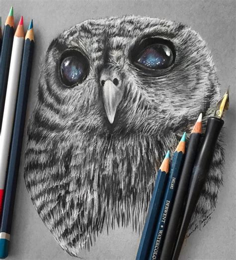 Easy techniques for drawing people, animals and more. Stunning Animals Realistic Pencil Drawing by Jonathan ...