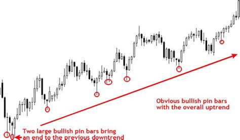 5 Best Pin Bar Trading Strategies In 2024 Entry And Exit Guide