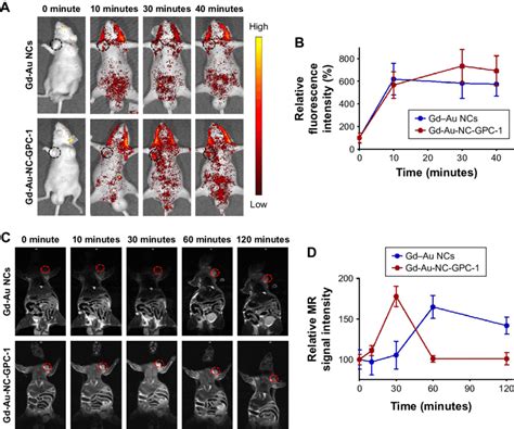 In Vivo Fi And Mri Of Colo Tumor Bearing Nude Mice In The Supine