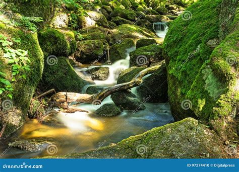Beautiful Mountain Stream With Moss Covered Stones Stock Photo Image