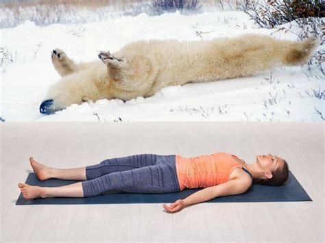 Here Are Some Bears Doing Yoga Because Why Not How To Do Yoga Bear