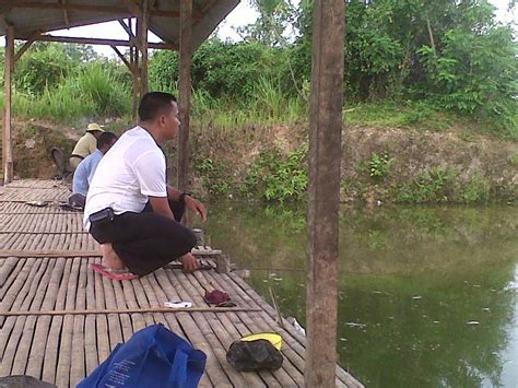 Kolam pancing s2, seremban (town). Umpan Juara Lomba mancing Ikan Mas Ala Pa Adang ~ FOKUS ...