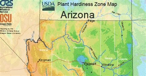 Usda Hardiness Zone Map For Arizona The Garden Magazine