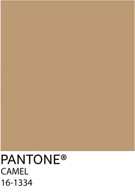 Pantone Major Brown Brown Pantone Pantone Colour Palettes Pantone Color