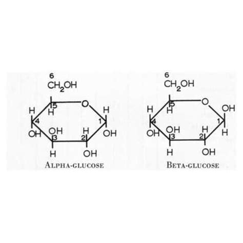 Alpha And Beta Glucose Structure Comparison Image In A Level And Ib