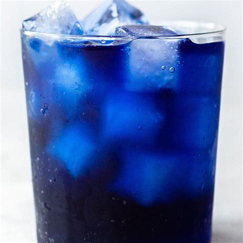 Butterfly pea flower tea comes from asian blue pea flower, also known as the pigeonwings (clitoria ternatea). 5 Easy Steps to Make Butterfly Pea Flower Tea Properly ...