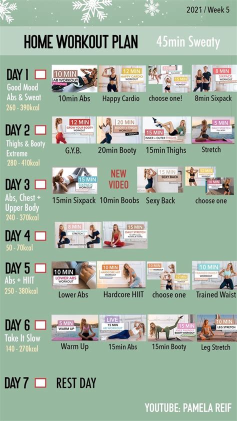 Pamela Reif Home Workout Plan Results For Gym Workout For Beginner