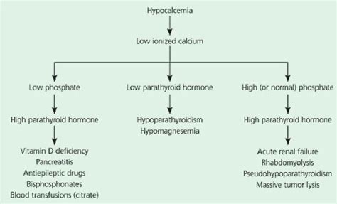 32 Best Images About Nursing Hyperhypocalcemia On Pinterest Study