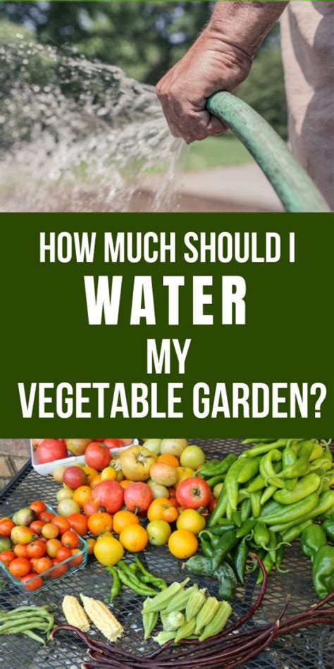 The ideal location for a pond is in partial sun, but not under. How Much Should I Water My Vegetable Garden?