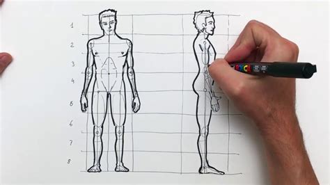La Figura Humana Cuerpo Humano Dibujo Dibujos Para Principiantes