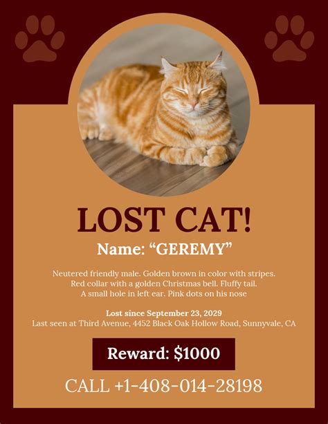 Tips to lure a cat back home. Brown Missing Cat Poster Template in 2020 | Missing cat ...