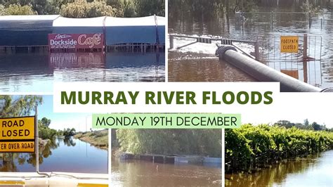 Murray River Floods Monday Dec 19th Mildura Flood Update