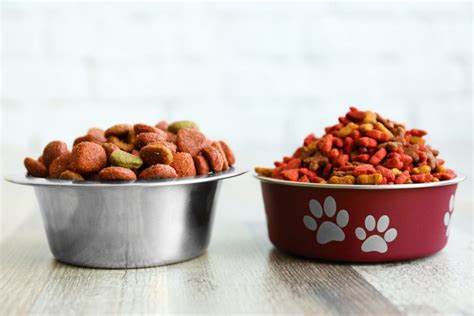 How To Choose The Best Dog Food Kohepets Blog