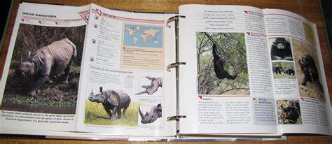 Wildlife Fact File Binder Animal Identification And