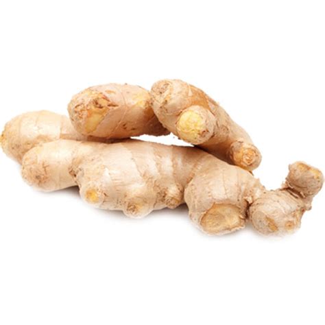 Ginger Medicinal Values And Its Uses Veggies Info Veggies Info