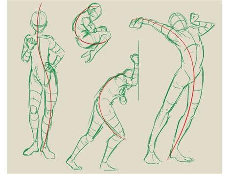 The Line Of Action Is A Key Concept Used In Starting A Gesture Drawing