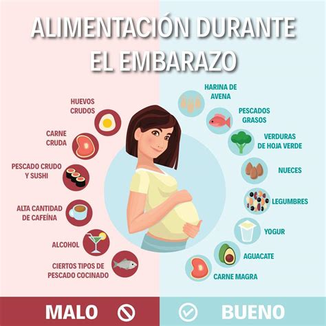 Cinco Nutrientes Esenciales Durante El Embarazo Drasanvi Francia