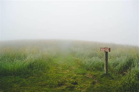 Green Grass Field During Fog Photo Free Nature Image On Unsplash