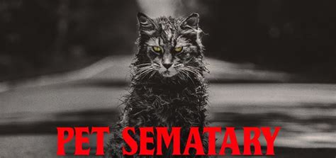« back to subtitle list. Pet Sematary (2019) | Pet Sematary English Movie | Movie ...
