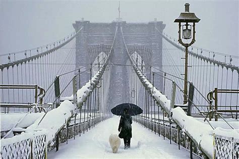 A Walk In The Snow Christophe Jacrot New York City Ny City Winter