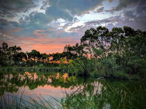 Laratinga Wetlands Bald Hills Rd Mount Barker Sa 5251 Australia