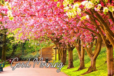 Spring Morning Wallpapers Wallpaper Cave
