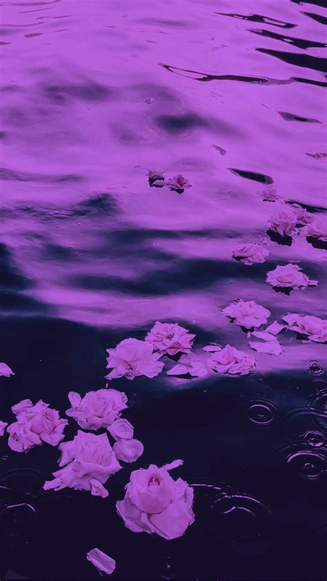 22 Aesthetic Picture Purple IwannaFile