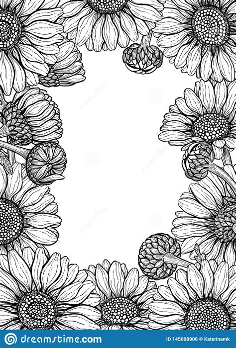 Daisy Flowers Design Elements Set Stock Vector Illustration Of Hand