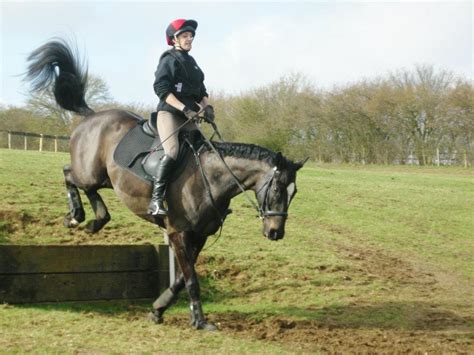 My Journey Retraining An Ex Racehorse 12th 23rd March More Dressage