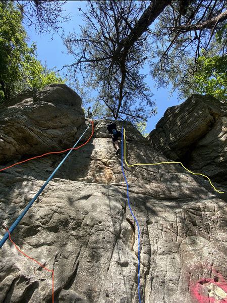 Rock Climbing In Tree Wall Look Rock