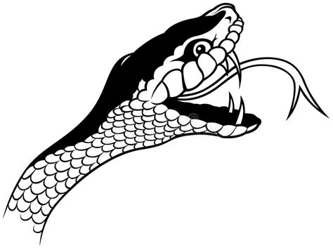Snake Head Stock Vector Illustration Of Tattoo Outline 9075192